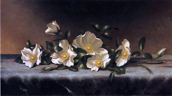  Martin Johnson Heade Cherokee Roses on a Light Gray Cloth - Canvas Art Print