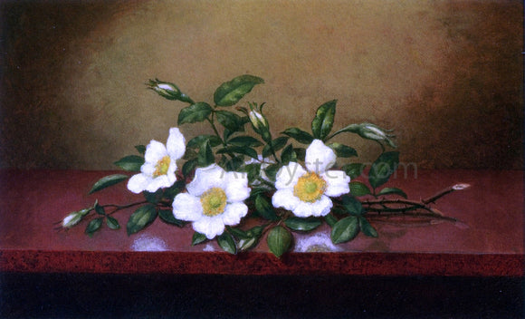  Martin Johnson Heade Cherokee Roses on a Shiney Table - Canvas Art Print