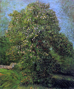  Vincent Van Gogh Chestnut Tree in Bloom - Canvas Art Print
