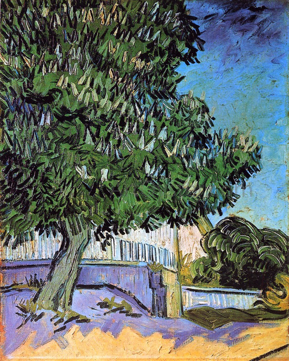  Vincent Van Gogh Chestnut Trees in Bloom - Canvas Art Print