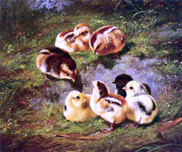  Arthur Fitzwilliam Tait Chickens - Canvas Art Print