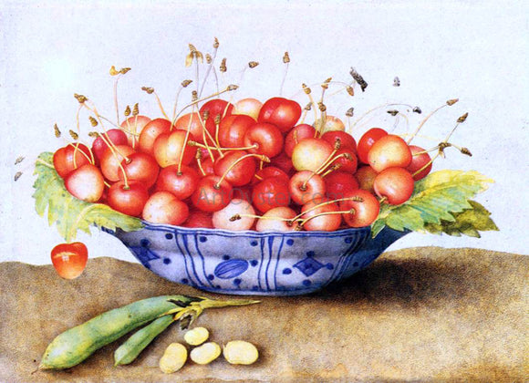  Giovanna Garzoni Chinese Porcelain Plate with Cherries - Canvas Art Print