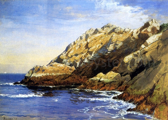  Alfred Thompson Bricher Cliffs, Dana's Island - Canvas Art Print