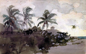  Winslow Homer Coconut Palms - Canvas Art Print