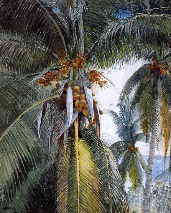  Winslow Homer Coconut Palms, Key West - Canvas Art Print