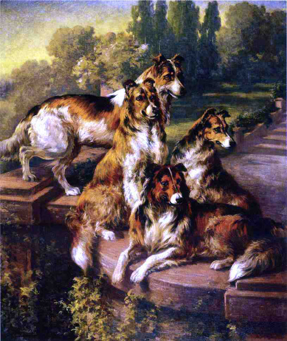  Edmond H Osthaus Collie Dogs in Formal Garden - Canvas Art Print