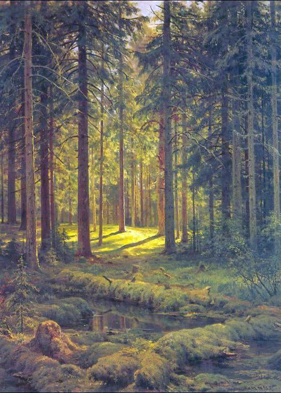 Ivan Ivanovich Shishkin Coniferous Forest, Sunny Day - Canvas Art Print