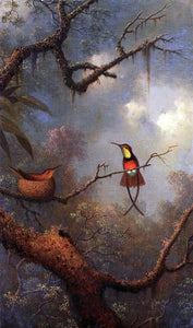  Martin Johnson Heade Crimson Topaz Hummingbirds Nesting in a Tropical Forest - Canvas Art Print