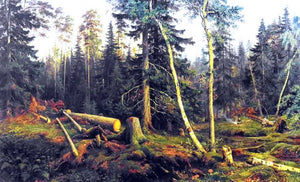  Ivan Ivanovich Shishkin Cutting of wood - Canvas Art Print