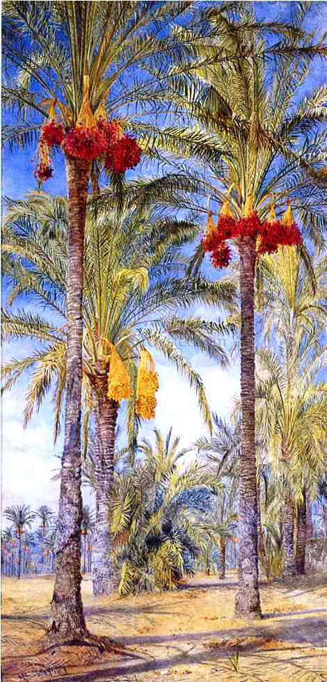  Henry Roderick Newman Date Trees, Ramleh, Egypt - Canvas Art Print