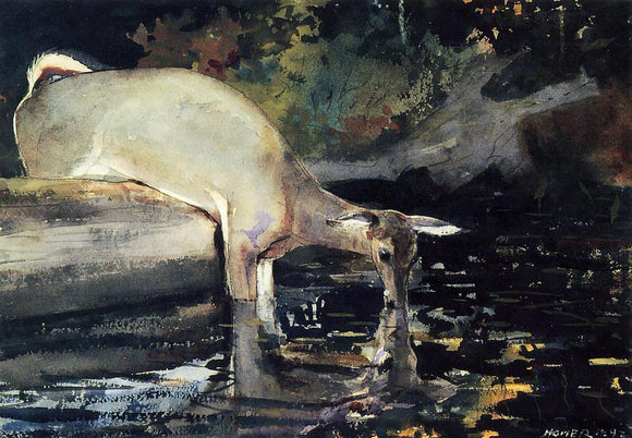  Winslow Homer A Deer Drinking - Canvas Art Print