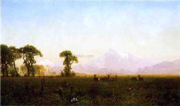  Albert Bierstadt Deer Grazing, Grand Tetons, Wyoming - Canvas Art Print