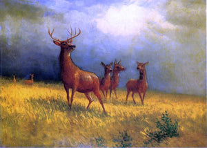  Albert Bierstadt Deer in a Field - Canvas Art Print