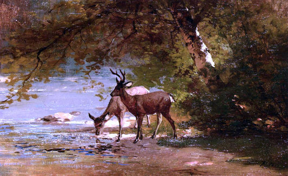  Thomas Hill Deer in a Landscape - Canvas Art Print