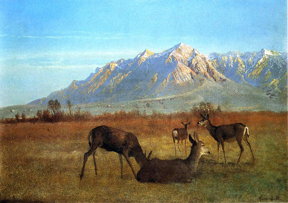  Albert Bierstadt Deer in a Mountain Home - Canvas Art Print