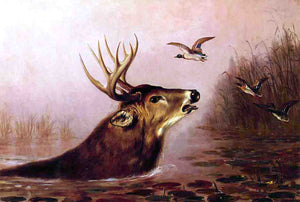  Arthur Fitzwilliam Tait A Deer in Marsh - Canvas Art Print