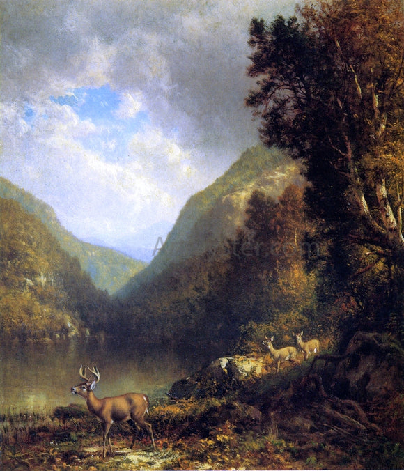  William M Hart Deer in the Adirondacks - Canvas Art Print