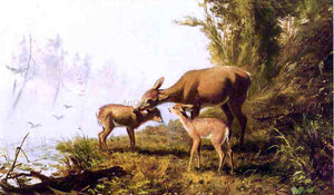  Arthur Fitzwilliam Tait Deer in the Woods - Canvas Art Print