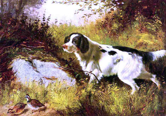  Arthur Fitzwilliam Tait Dog and Quail - Canvas Art Print