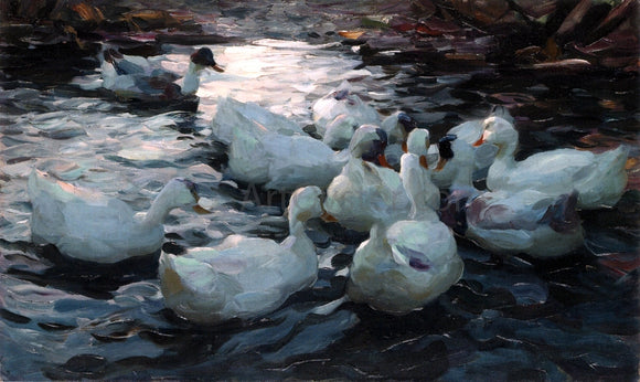  Alexander Koester Ducks Feeding - Canvas Art Print