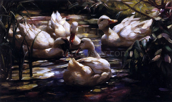  Alexander Koester Ducks in a Forest Pond - Canvas Art Print