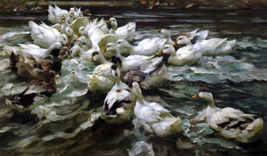  Alexander Koester Ducks in a Pond - Canvas Art Print