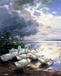  Alexander Koester Ducks in the Morning - Canvas Art Print