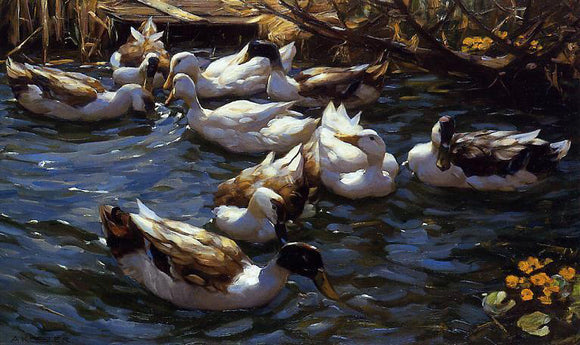  Alexander Koester Ducks in the Reeds under the Boughs - Canvas Art Print