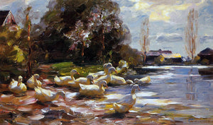  Alexander Koester Ducks on a Riverbank on a Sunny Afternoon - Canvas Art Print