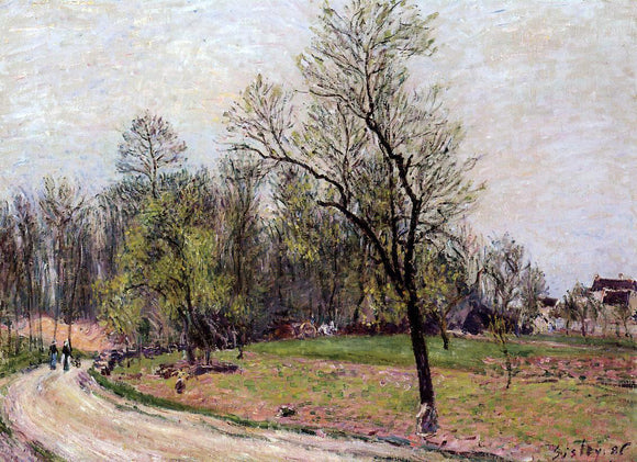  Alfred Sisley Edge of the Forest in Spring, Evening - Canvas Art Print