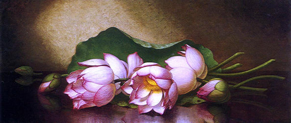  Martin Johnson Heade Egyptian Lotus Blossom - Canvas Art Print