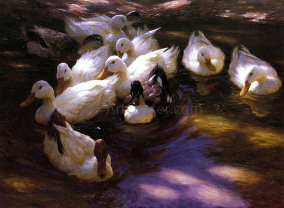  Alexander Koester Eleven Ducks in the Morning Sun - Canvas Art Print