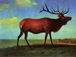  Albert Bierstadt Elk - Canvas Art Print
