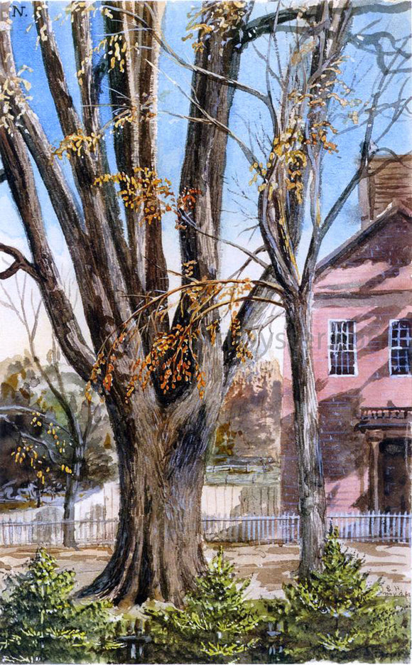  Charles De Wolf Brownell Elm, East Hartford, Connecticut - Canvas Art Print