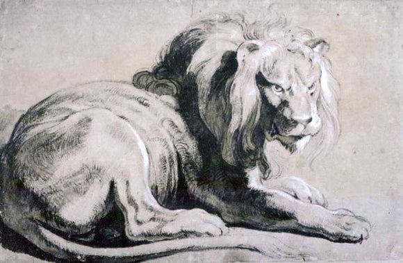  Peter Paul Rubens The Etude of Lion - Canvas Art Print