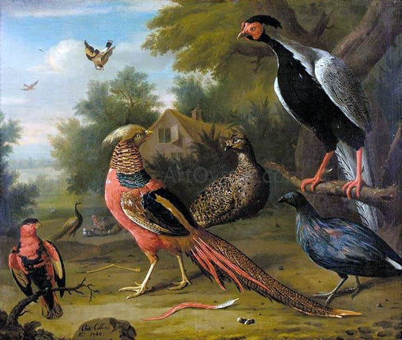  Charles Collins Exotic Pheasants and Other Birds - Canvas Art Print