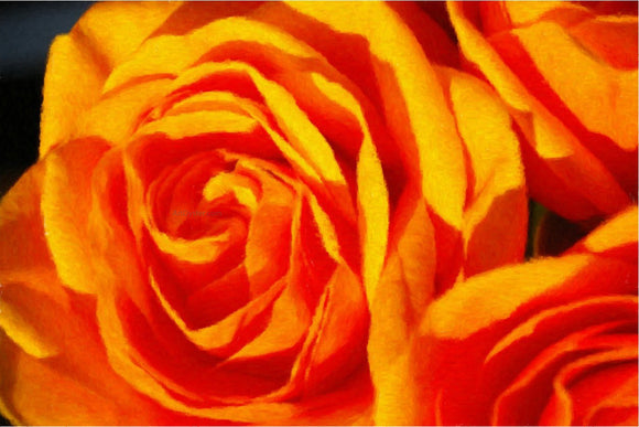  Our Original Collection Fabulous Orange Rose - Canvas Art Print