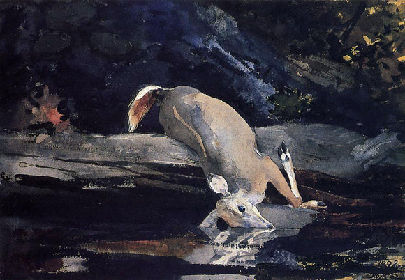  Winslow Homer Fallen Deer - Canvas Art Print