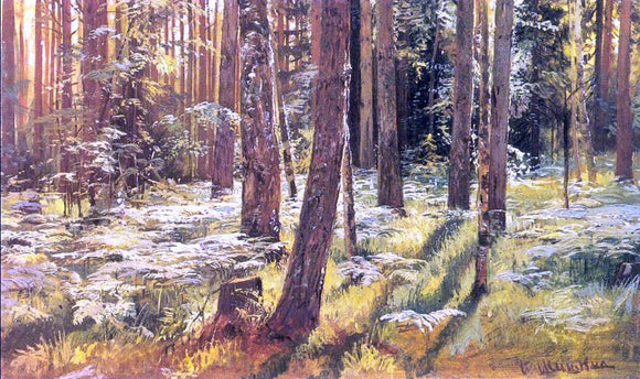  Ivan Ivanovich Shishkin Ferms in a Forest (etude) - Canvas Art Print