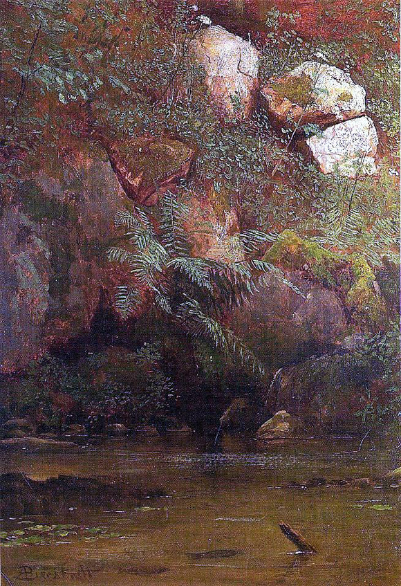  Albert Bierstadt Ferns and Rocks on an Embankment - Canvas Art Print