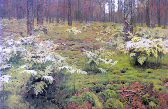  Isaac Ilich Levitan Ferns in a Forest - Canvas Art Print
