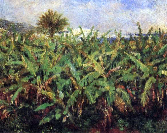  Pierre Auguste Renoir Field of Banana Trees - Canvas Art Print