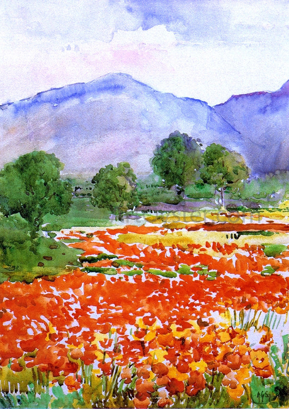  Annie G. Sykes Field of Poppies, near Spoleto Italy - Canvas Art Print