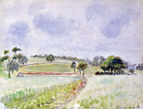  Camille Pissarro Field of Rye - Canvas Art Print