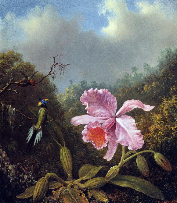  Martin Johnson Heade Fighting Hummingbirds with Pink Orchid - Canvas Art Print
