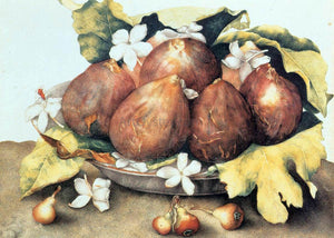  Giovanna Garzoni Figs - Canvas Art Print
