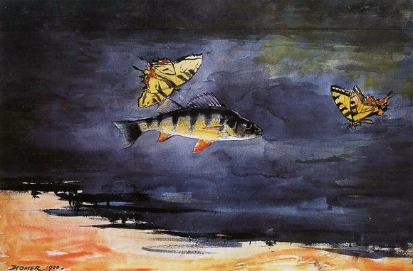  Winslow Homer Fish and Butterflies - Canvas Art Print