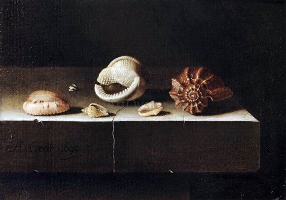  Adriaen Coorte Five Shells on a Slab of Stone - Canvas Art Print