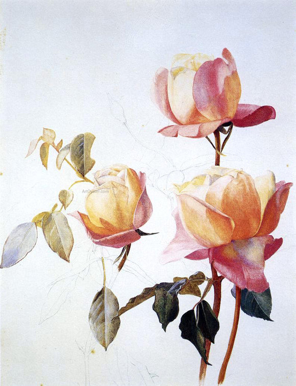  Henry Roderick Newman Florentine Roses - Canvas Art Print