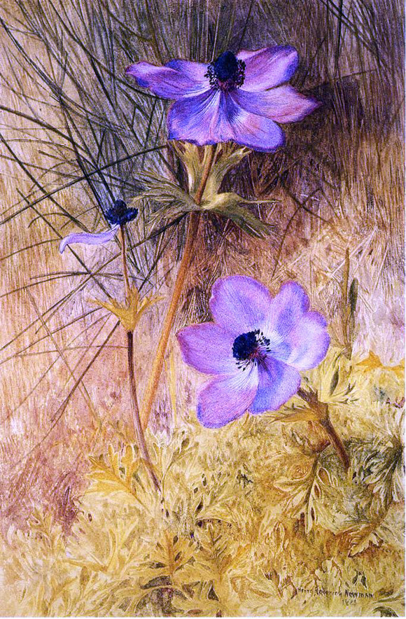  Henry Roderick Newman Florentine Wild Anemones - Canvas Art Print